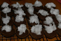 Bunny Tail Mini Chocolate Muffins with Fairy Floss