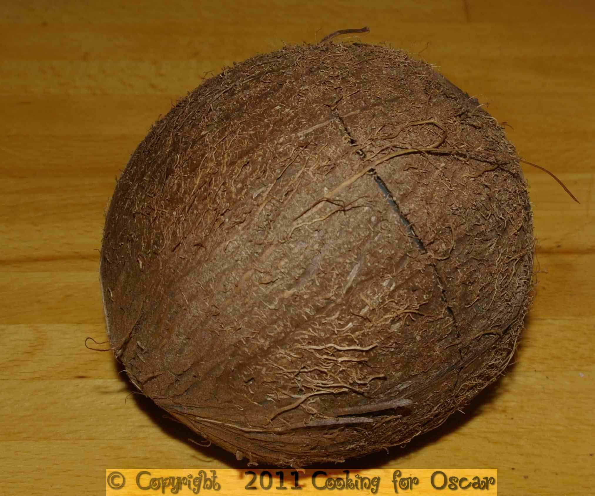 Coconut Chopping For Beginners - hedozlw
