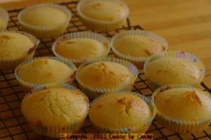 Plain cup cakes