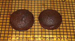 mini chocolate cakes