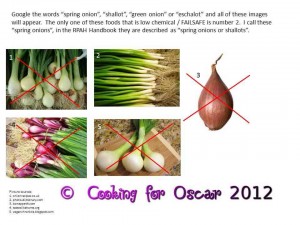 Spring Onions 