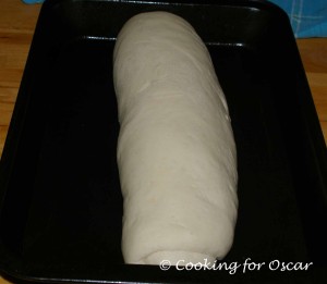 Making Japanese Milk Shokupan (White Bread)