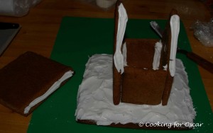 Making a Gingerbread House