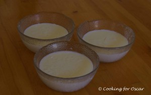 Vanilla Instant Pudding