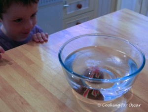 Science experiment - putting bath bombs to good use.