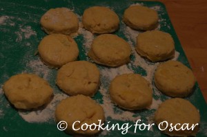 Making Chicken Casserole with Savoury Biscuits