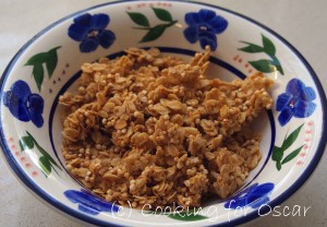 FAILSAFE Granola